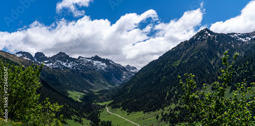 Wallpaper Mural the grandeur of mountainous terrain with snow-capped peaks towering over dense forests and a valley, under a sky of scattered clouds Torontodigital.ca