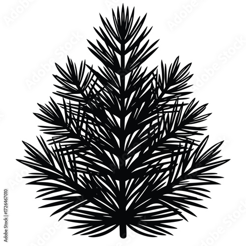 fresh pine needles silhouette on white background.eps