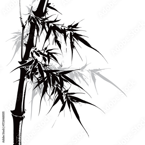 Bamboo plant with slender stalks and detailed leaves stands out against a white background, creating a serene and minimalist design. Shadows enhance its elegance.