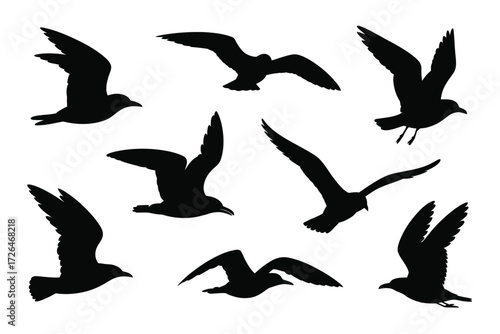Collection of black silhouette seagulls in flight against a white background