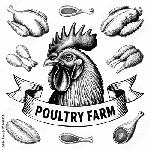 Poultry Farm Vector Logo – Rooster, Chicken & Fresh Meat Illustration Design
