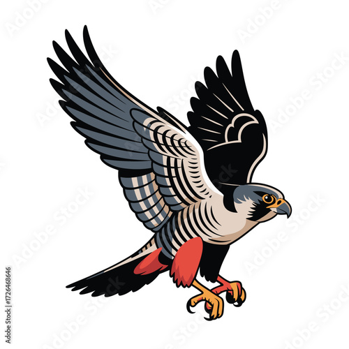 Illustration of a peregrine falcon in flight with wings spread