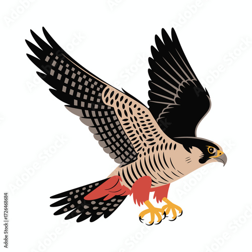 Peregrine falcon in flight with wings spread and talons extended