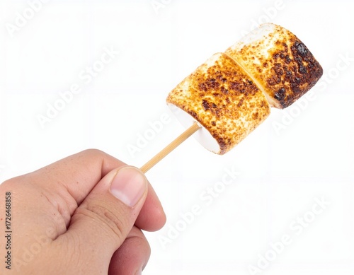 Marshmallow On A Skewer Held Up In Front Of Scenic Mountain Landscape For Outdoor Camping