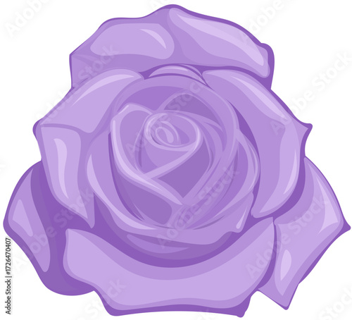 Lilac Rose