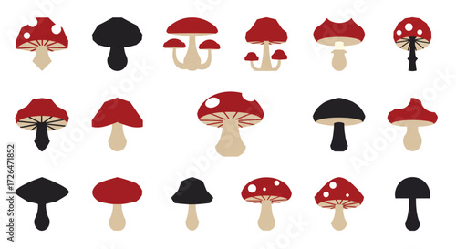 Mushrooms arranged in neat rows display their diverse shapes and colors against a white backdrop, creating a whimsical and natural pattern.