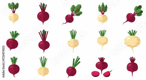 Various beets and turnips displayed against a white backdrop, showcasing their vibrant colors and unique shapes in a simple and clean presentation.