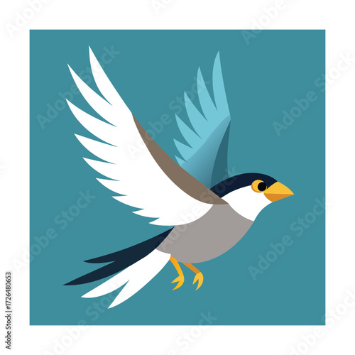 Small bird in flight with wings spread wide flying