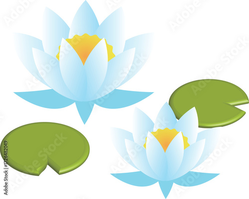 睡蓮の花とハスの葉のイラスト素材
