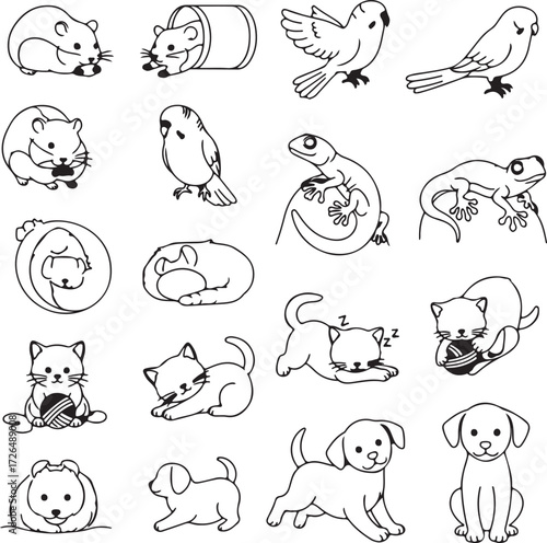 set of funny animals