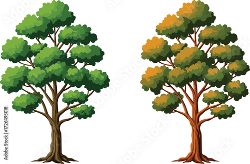 Seasonal Tree Contrast Illustration Showing Green Summer Foliage and Autumn Leaves for Nature Education, Environmental Storytelling, and Artistic Design Use