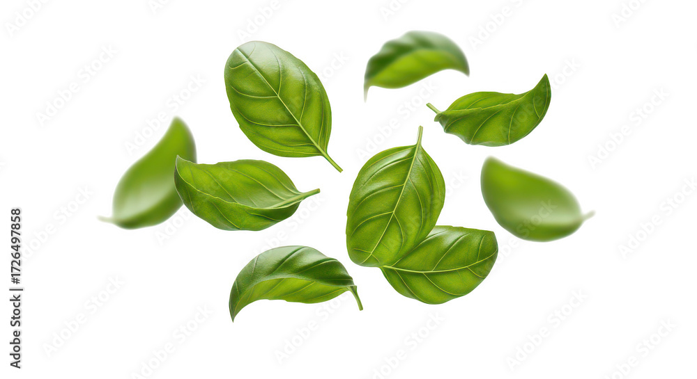 Naklejka premium Fresh Basil Leaves Falling On Black
