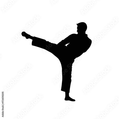 Martial arts expert performing a powerful kick focused on the silhouette of a person in a dynamic fighting stance.