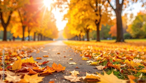 Wallpaper Mural Golden autumn leaves carpet a park path Torontodigital.ca