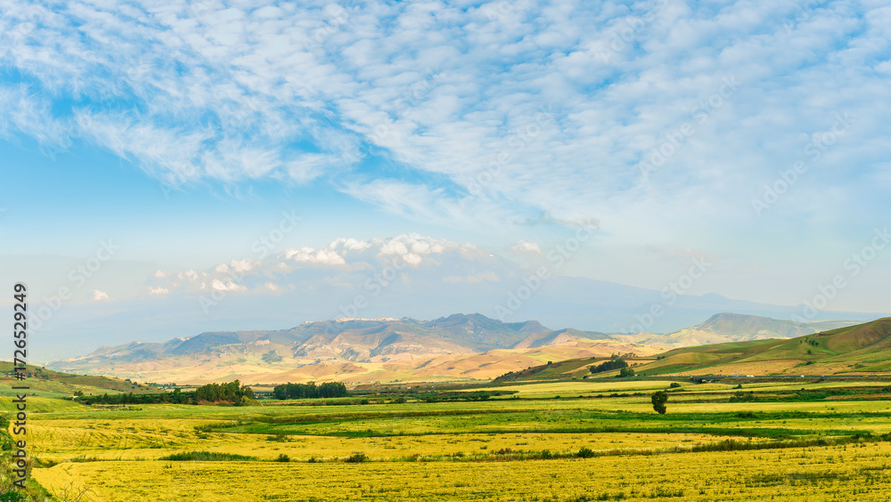 Obraz premium amazing golden summer landscape of beautiful golden wheaten field with scenic farmland view to picturesque hills and colorful sunset cloudy sky on background