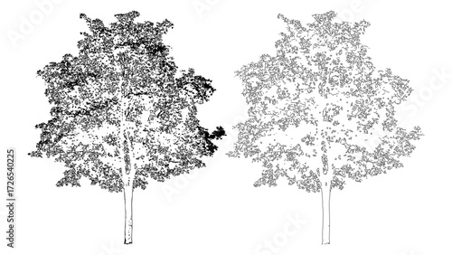 front View Vector Icons of Trees and Plants for Floor Plan and Architectural Design Projects	