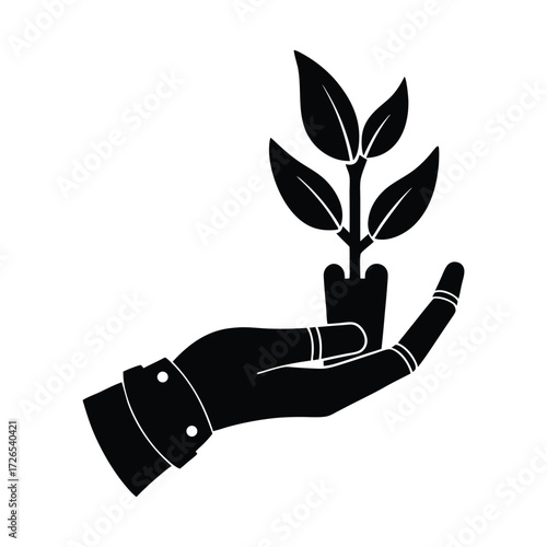 Hand holding seedling plant growth