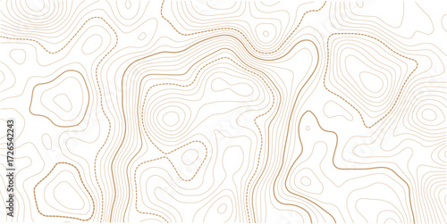 Topographic map background geographic line map with elevation assignments. Topographic map lines, contour background. topo map texture.