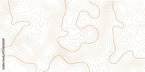 Topographic map background geographic line map with elevation assignments. Topographic map lines, contour background. topo map texture.