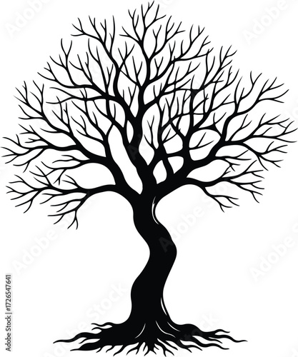 Vector Bare tree without leaves detailed silhouette Illustrator