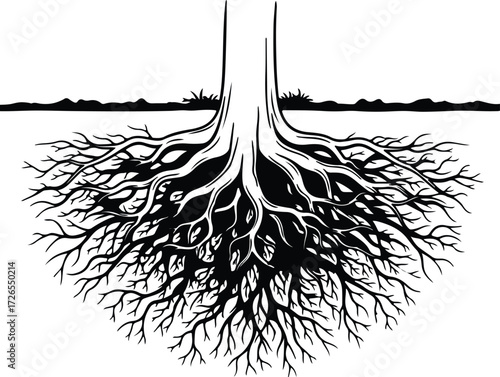 Vector Tree with underground roots system silhouette Illustrator
