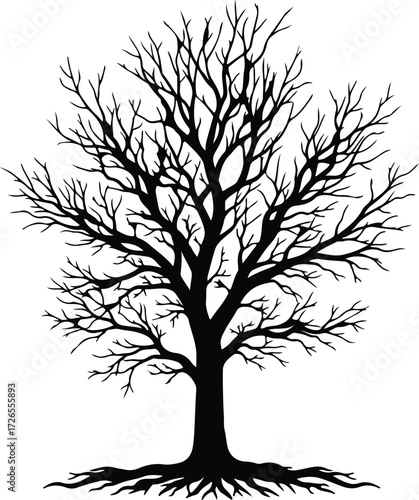 Vector Bare tree winter isolated graphic design silhouette Illustrator