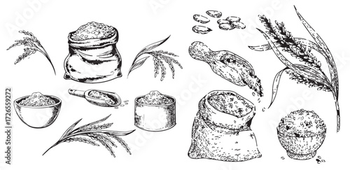 Vintage Hand-Drawn Rice and Grain Illustrations – Rustic Farm Produce, Sacks, Bowls, Harvest Elements, Black and White Engraving Set