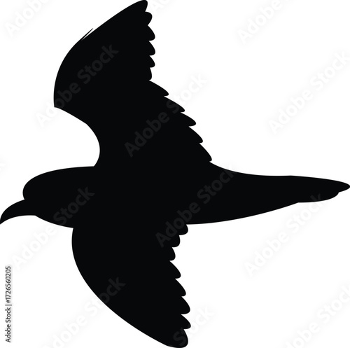 Flying Antarctic prion Bird Silhouette Design And Vector Illustration. 