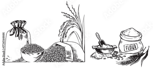 Vintage Hand-Drawn Rice and Grain Illustrations – Rustic Farm Produce, Sacks, Bowls, Harvest Elements, Black and White Engraving Set