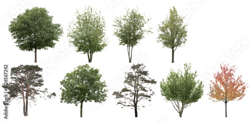 Front View Vector Icons of Trees and Plants for Floor Plan and Architectural Design Projects	