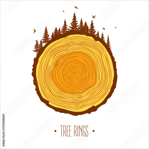 Round tree trunk cut with trees, forest and birds. Sawn pine or oak slice, lumber. Saw cut timber, wood. Brown wooden texture with tree rings. Hand drawn sketch. Vector illustration