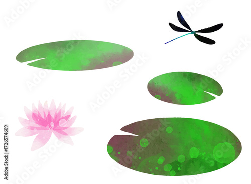 睡蓮とハグロトンボのイラスト素材　ベクター