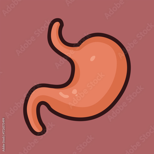 stomach cartoon illustration