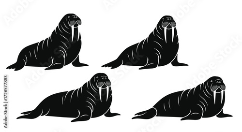 A group of four walruses resting on the ice.