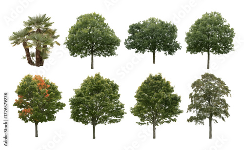 Front View Vector Icons of Trees and Plants for Floor Plan and Architectural Design Projects	