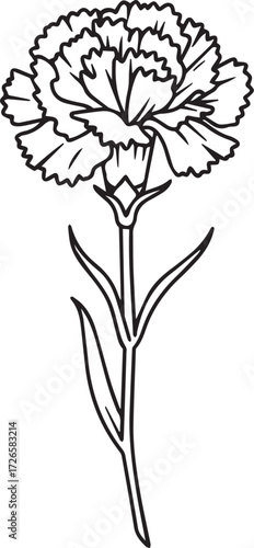 Wallpaper Mural 카네이션
 Torontodigital.ca