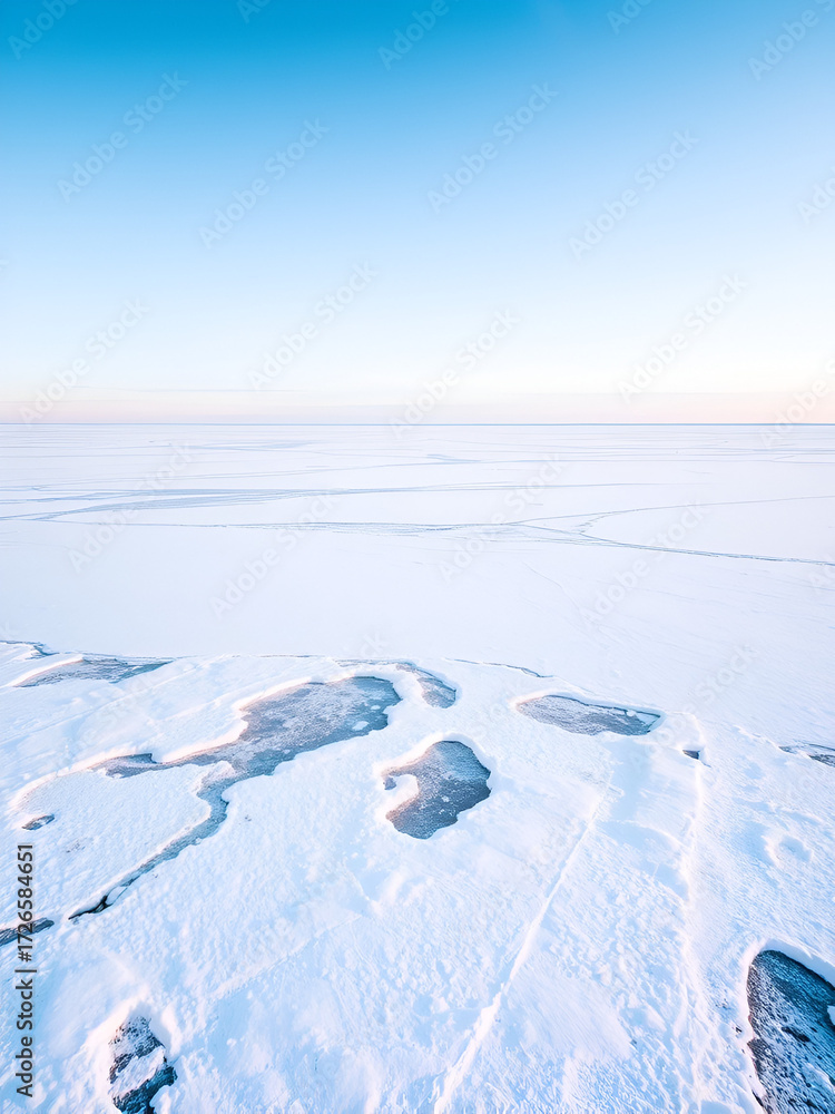 Obraz premium tundra a flat treeless plain covered in snow and ice with scatte