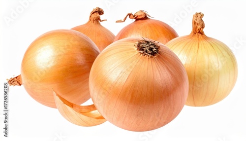 Wallpaper Mural Onion visually striking high-quality image with artistic flair. Torontodigital.ca