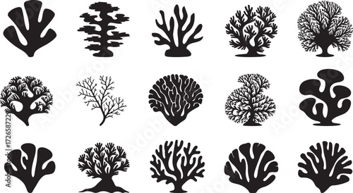 Coral icon, Sea coral vector, Ocean coral silhouette, Reef illustration graphic, Corals clipart design, Marine coral symbol, Ocean plant artwork, Coral reef drawing, Underwater coral logo, Tropical co