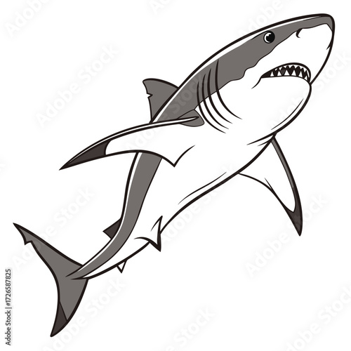 Aggressive shark illustration with open mouth and sharp teeth on white background Keywords: shark, great