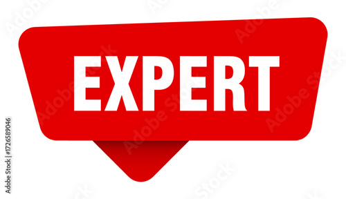 expert red sticker isolated on transpatent background. expert sign