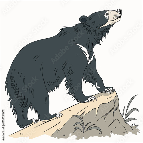 Cartoon sloth standing on a rock with its head tilted upwards Keywords: sloth, cartoon, animal, standing