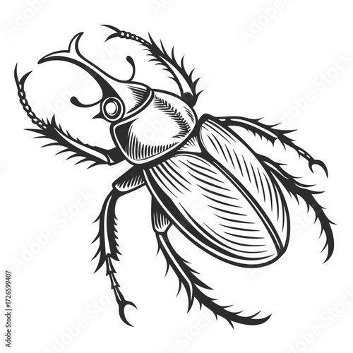 Detailed black and white illustration of a rhinoceros beetle insect