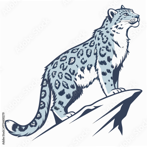 Snow Leopard on Rock Vector Illustration Blue and Grey Tones big cat feline