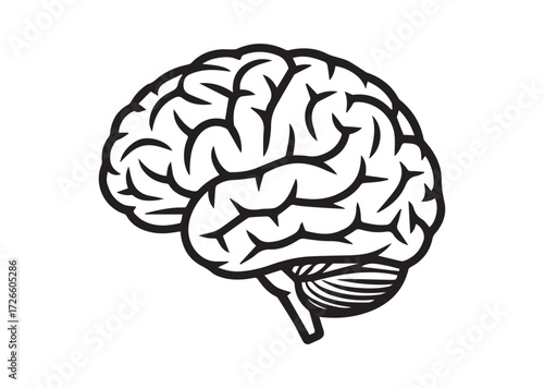 Brain line art vector