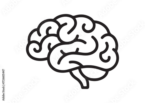 Brain line art vector