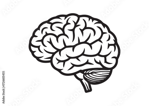 Brain line art vector