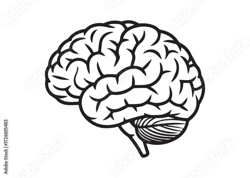 Brain line art vector