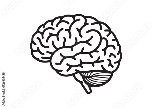 Brain line art vector