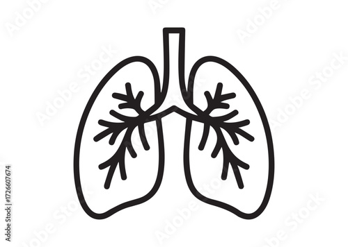 Lungs line art vector